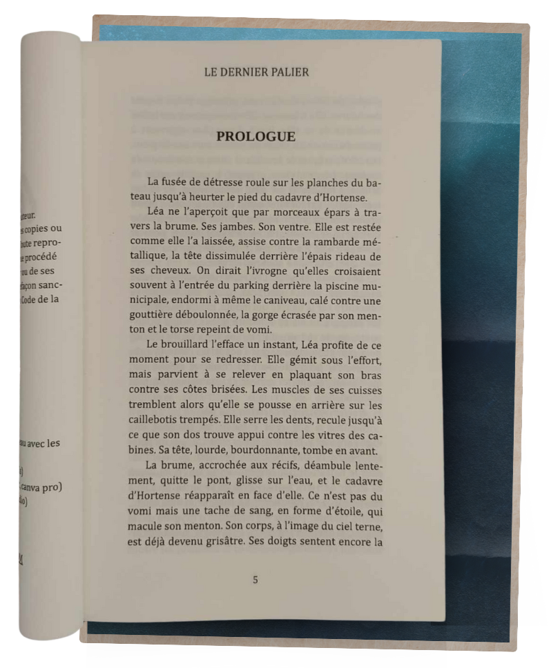 Couverture du roman