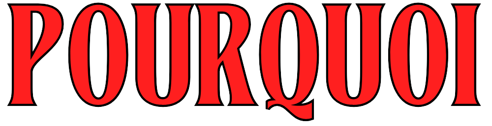 Pourquoi j'ai écris ce roman